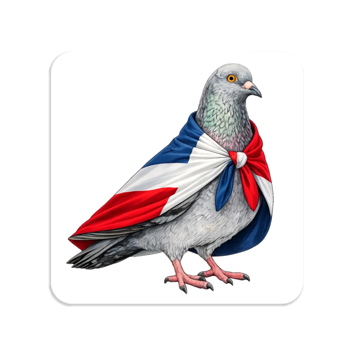 Washington Heights NYC Pigeon Magnet