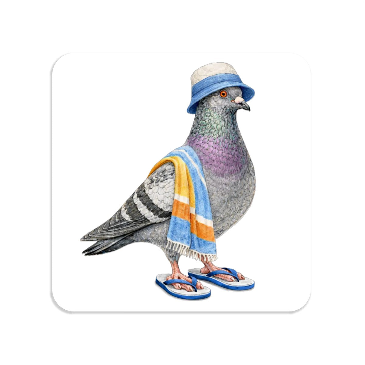 Coney Island  NYC Pigeon Magnet