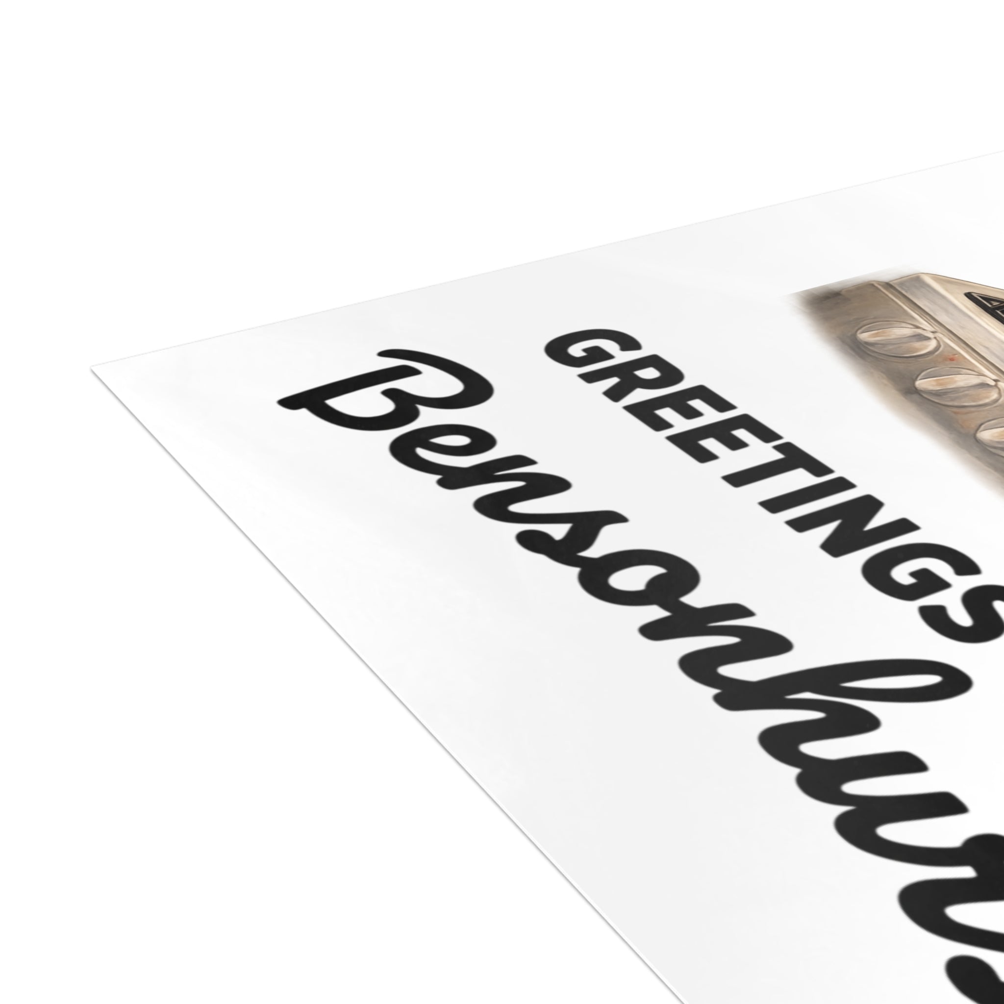 Bensonhurst NYC Pigeon Postcard Bundle (envelopes included)