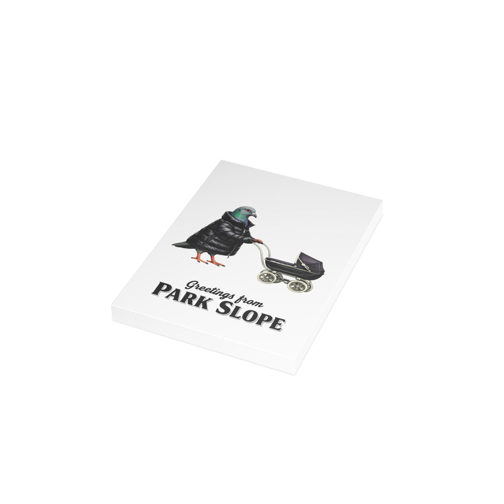 Park Slope NYC Pigeon Postcard Bundle (envelopes included)