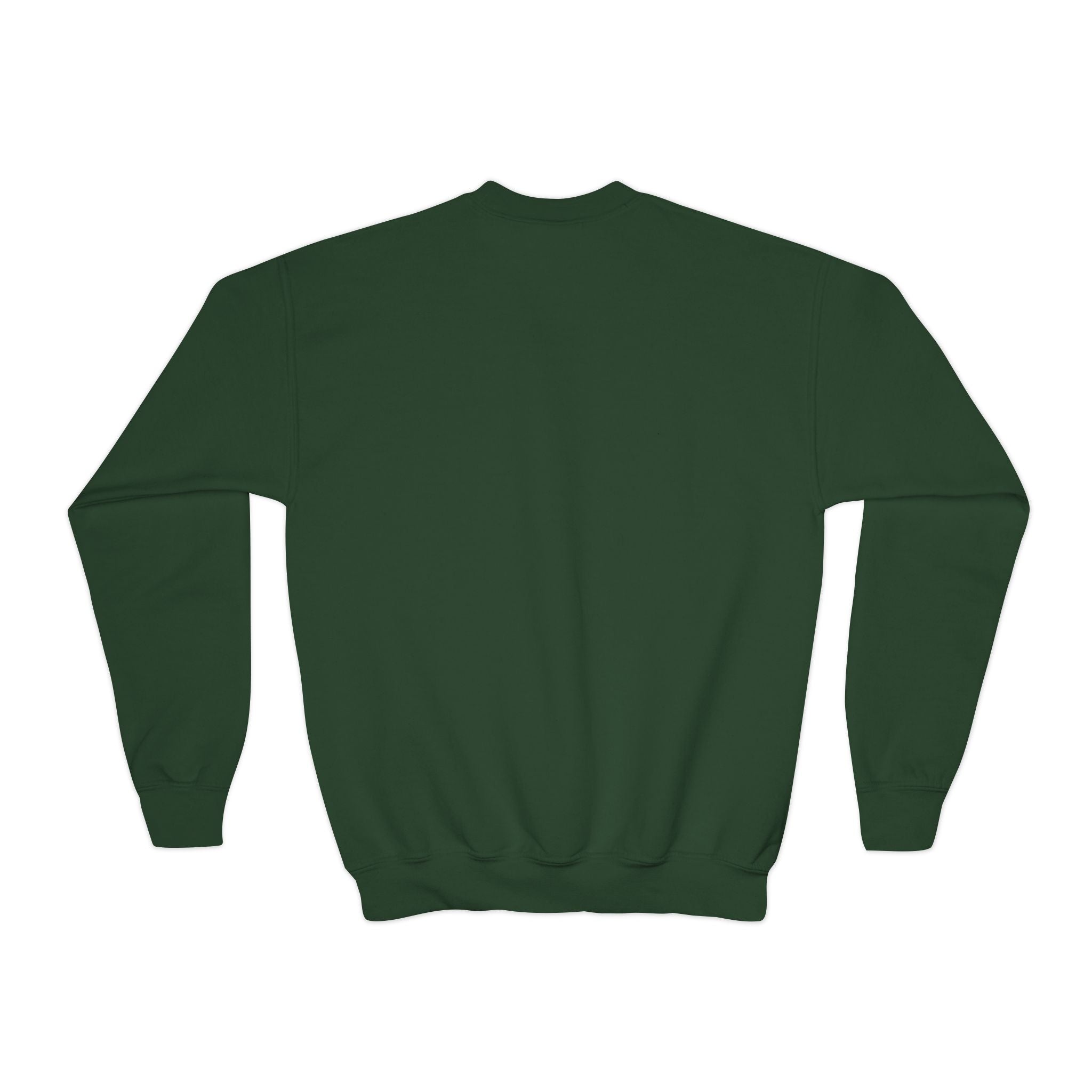 Sudadera de cuello redondo personalizable de Midtown NYC Pigeon NYC para niños    Suéter infantil de pájaro amante de las bicicletas de Nueva York