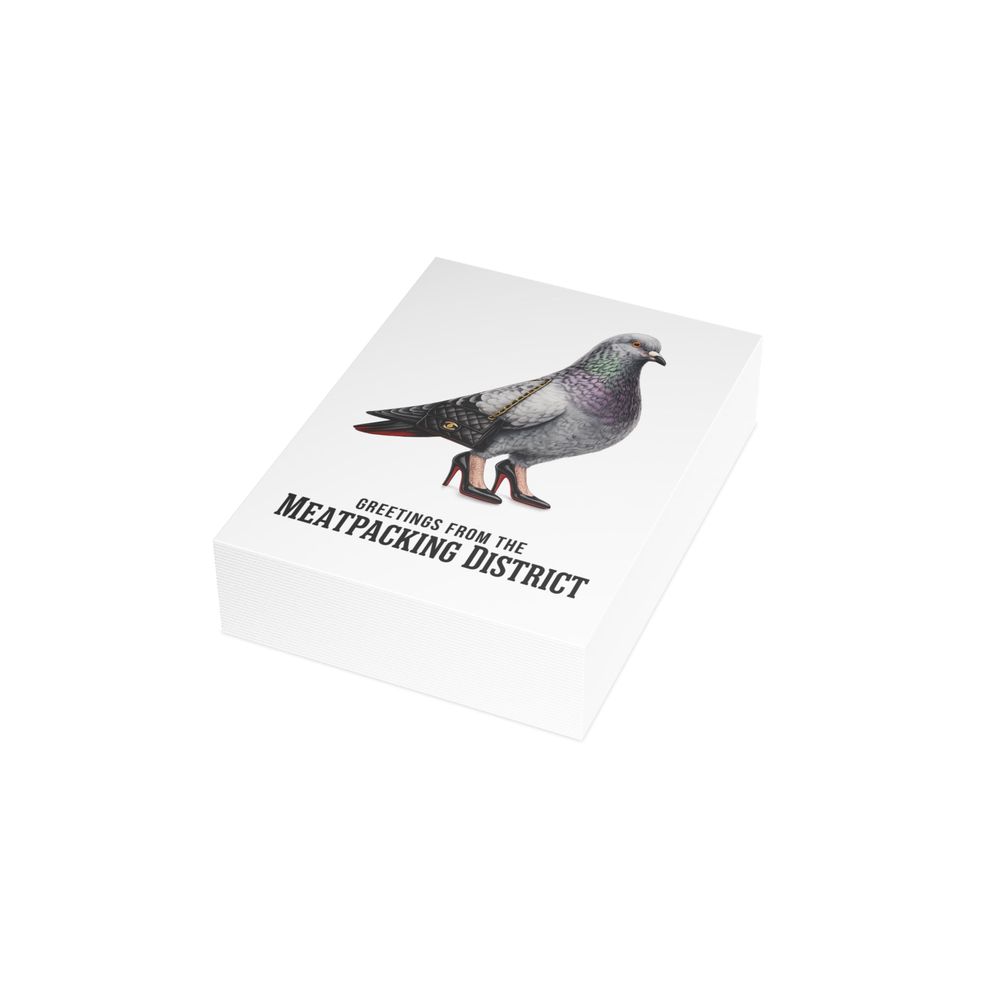 Meatpacking District NYC Pigeon Postcard Bundle (envelopes included)