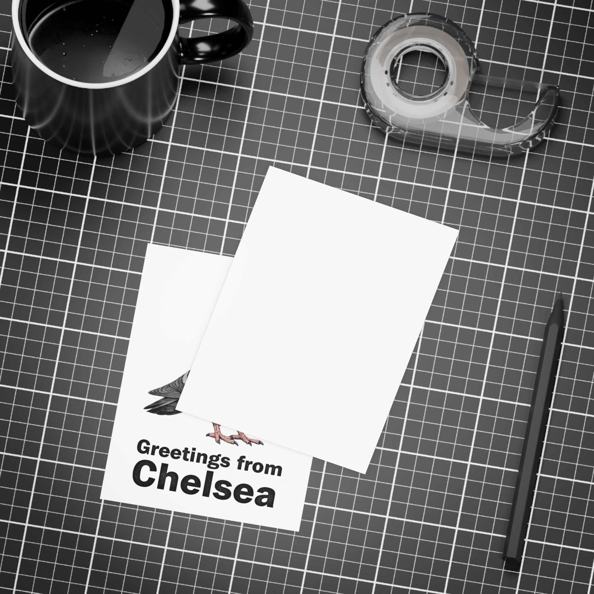 Chelsea NYC Pigeon Postcard Bundle (envelopes included)
