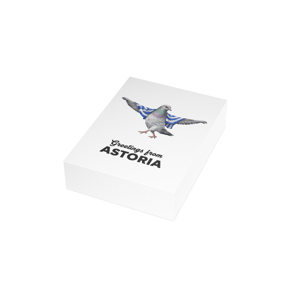 Astoria NYC Pigeon Postcard Bundle (envelopes included)