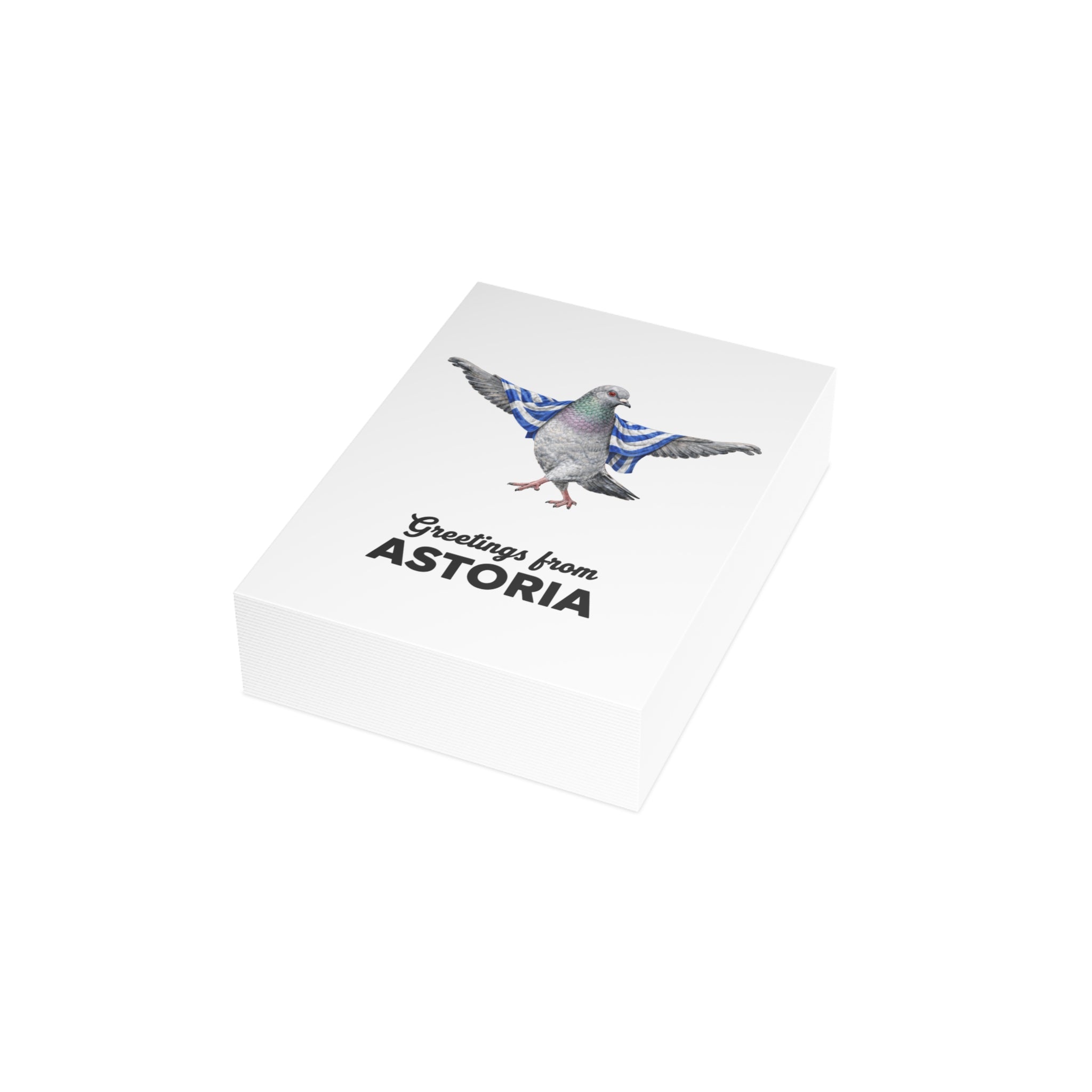 Astoria NYC Pigeon Postcard Bundle (envelopes included)