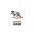 City Island NYC Pigeon Postcard Bundle (envelopes included)