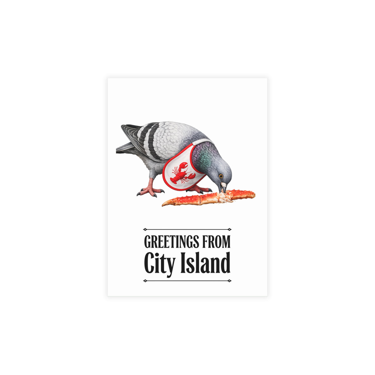 City Island NYC Pigeon Postcard Bundle (envelopes included)