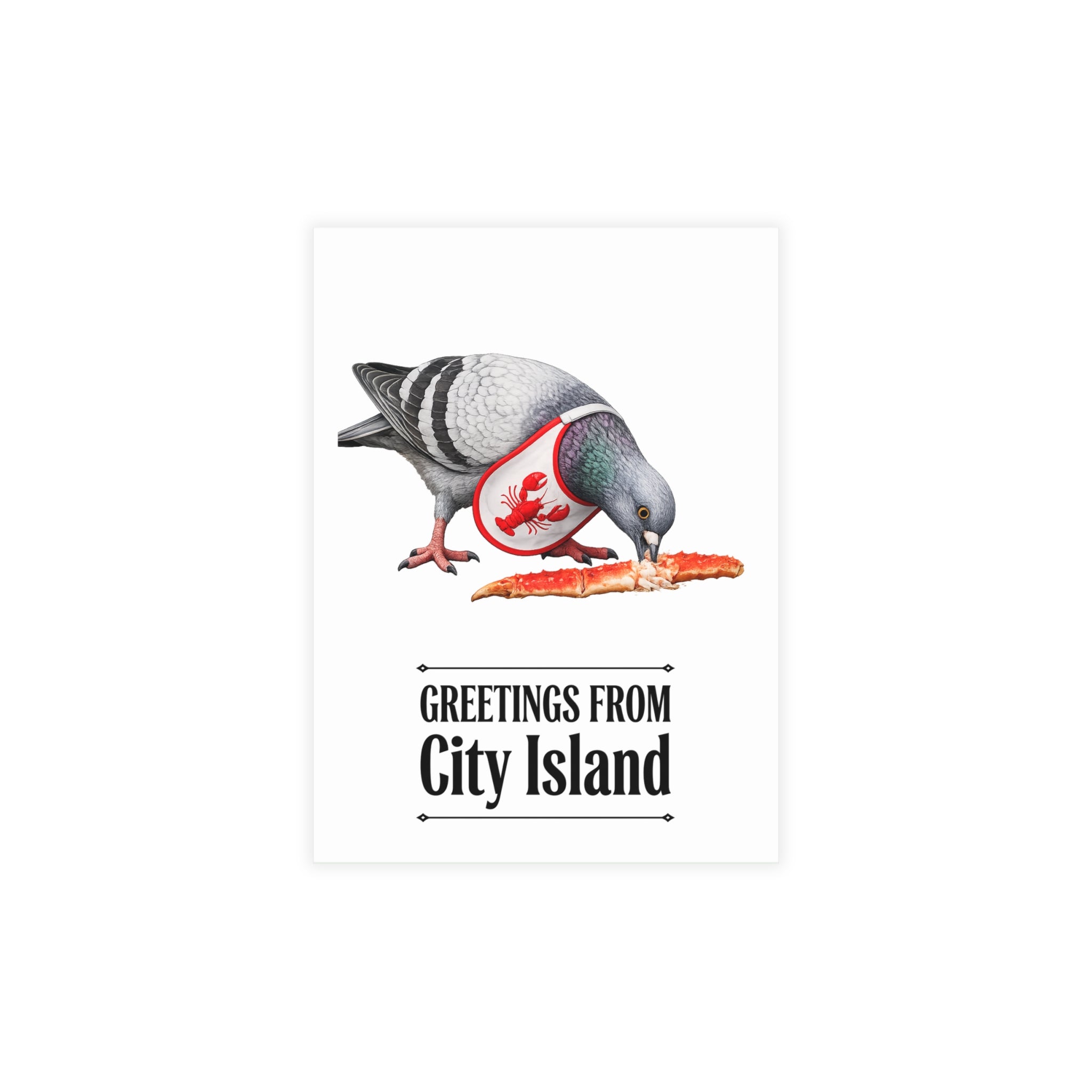 City Island NYC Pigeon Postcard Bundle (envelopes included)