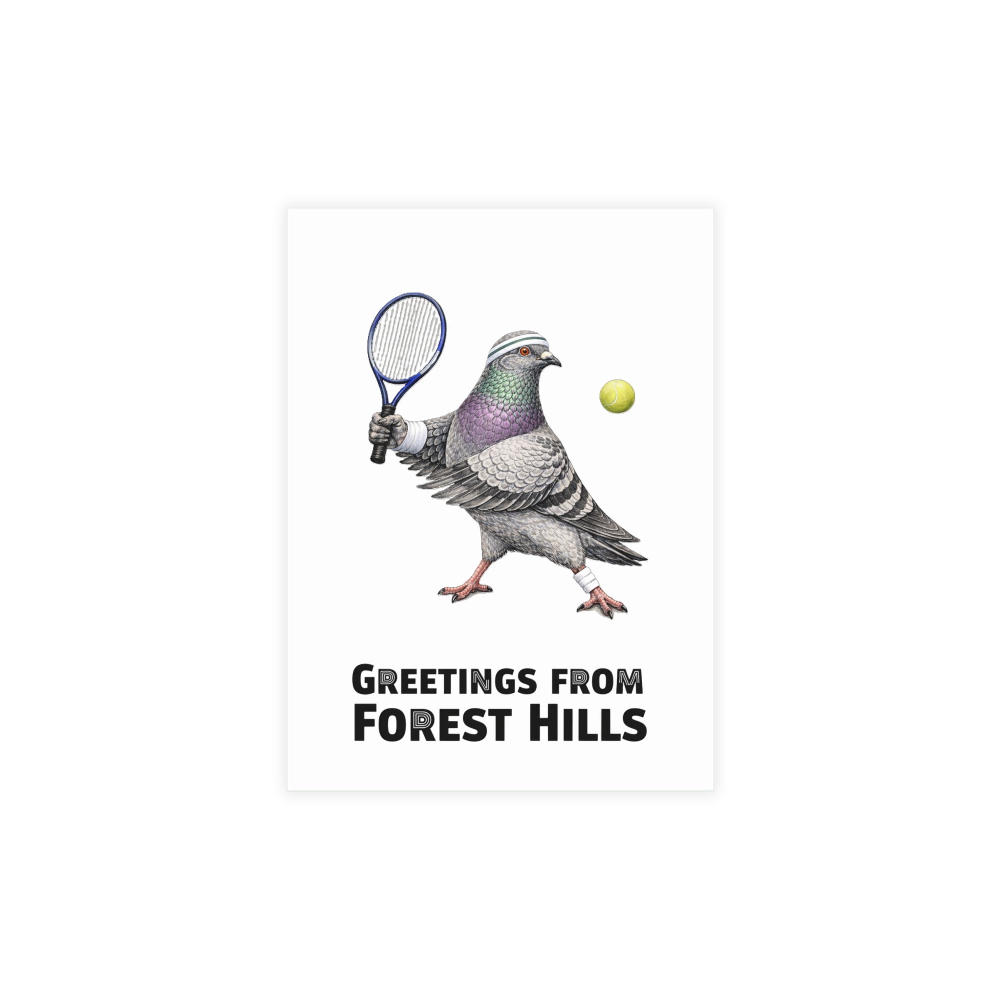 Forest Hills NYC Pigeon Postcard Bundle (envelopes included)