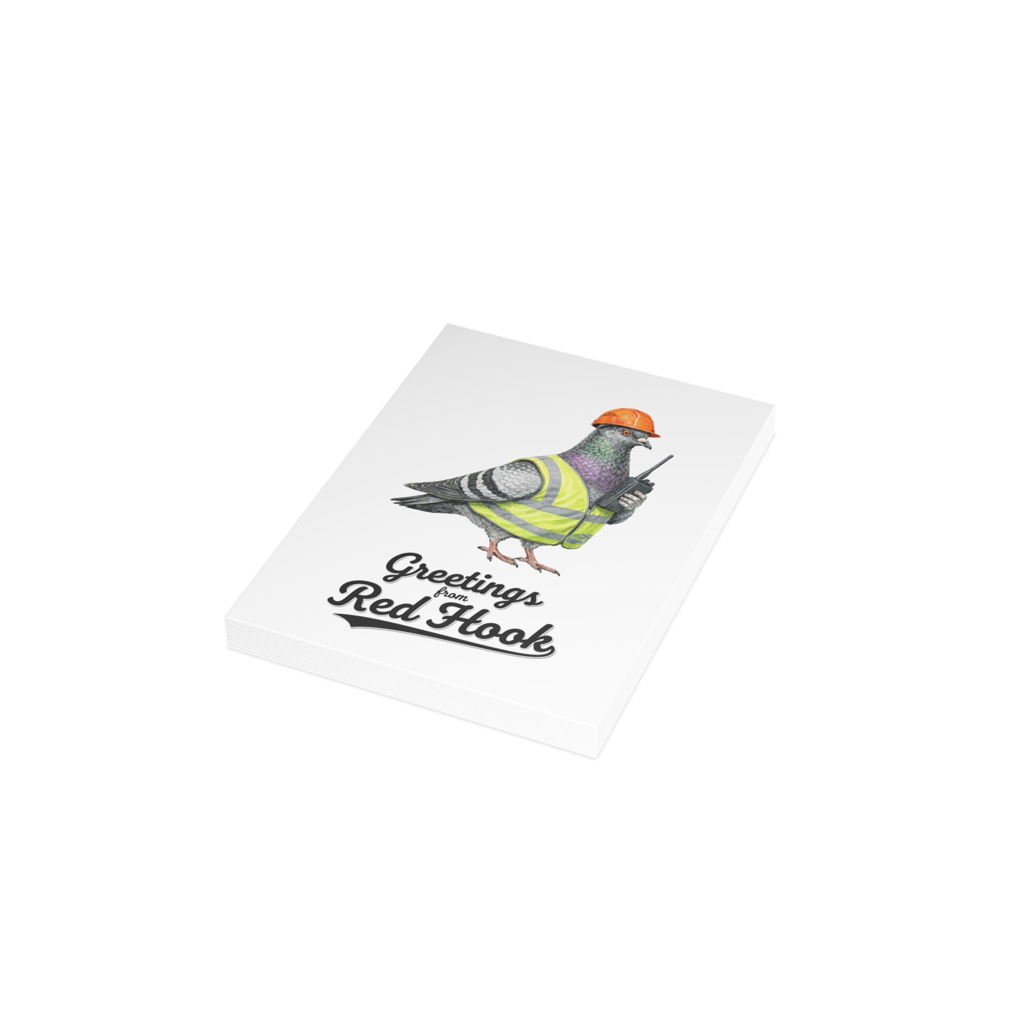 Red Hook NYC Pigeon Postcard Bundle (envelopes included)
