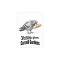 Carroll Gardens NYC Pigeon Postcard Bundle (envelopes included)