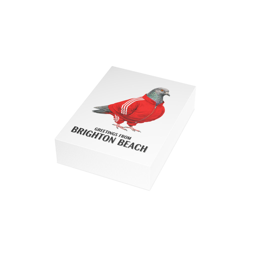 Brighton Beach NYC Pigeon Postcard Bundle (envelopes included)
