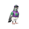 Ozone Park NYC Pigeon 3" x 3" Sticker