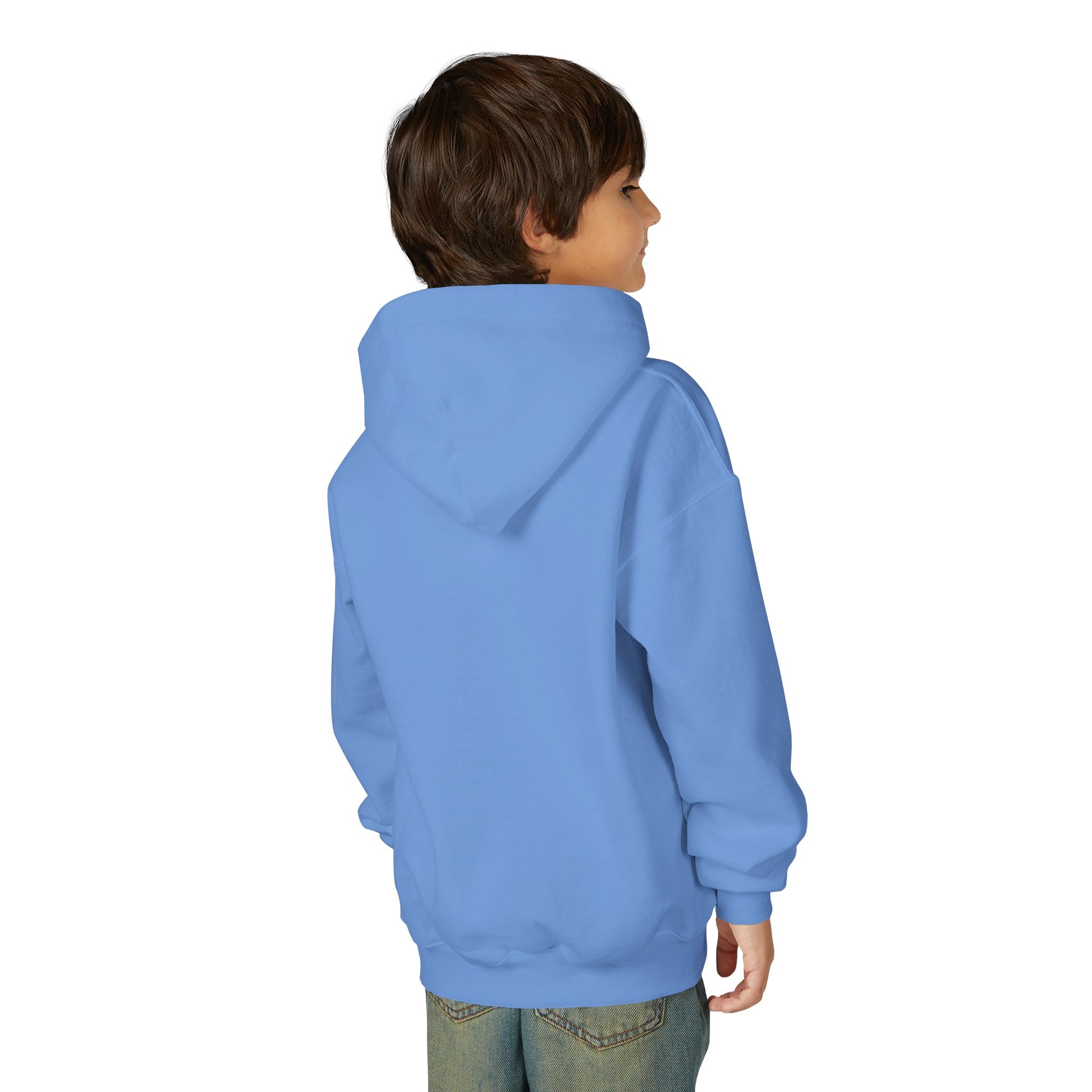 Sudadera con capucha personalizable de paloma de Corona NYC para niños | Sudadera con capucha para niños amantes de las aves y jugadores de fútbol de Nueva York