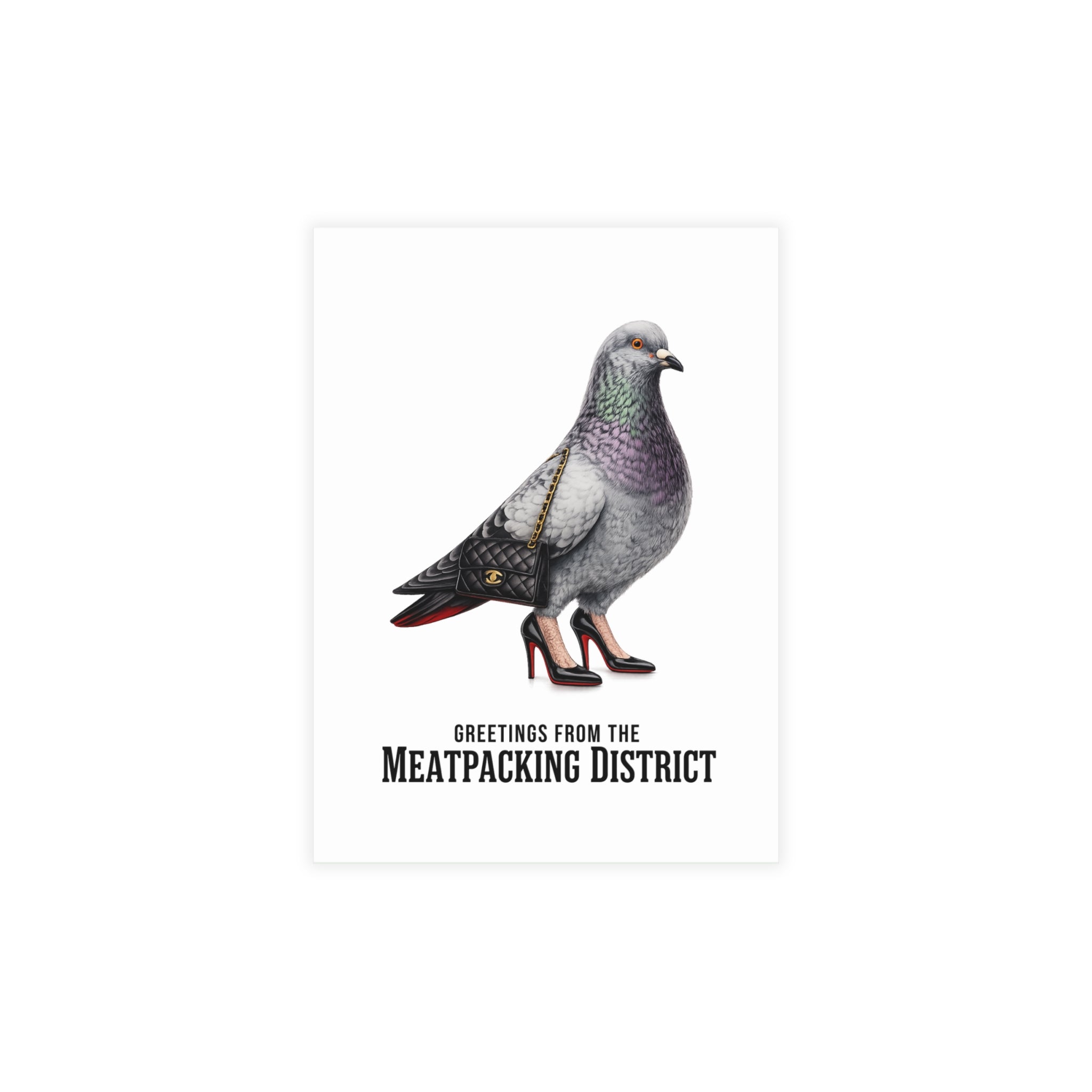 Meatpacking District NYC Pigeon Postcard Bundle (envelopes included)