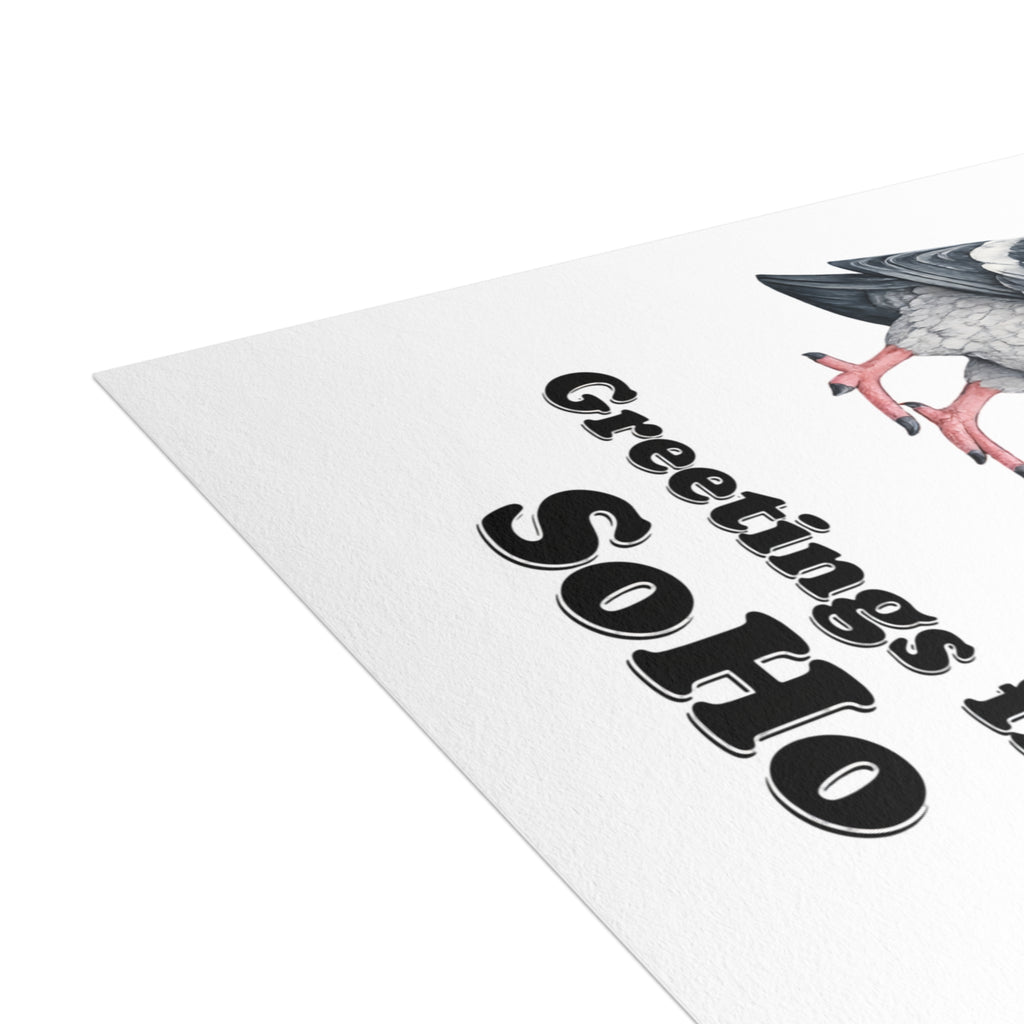 SoHo NYC Pigeon Postcard Bundle (envelopes included)