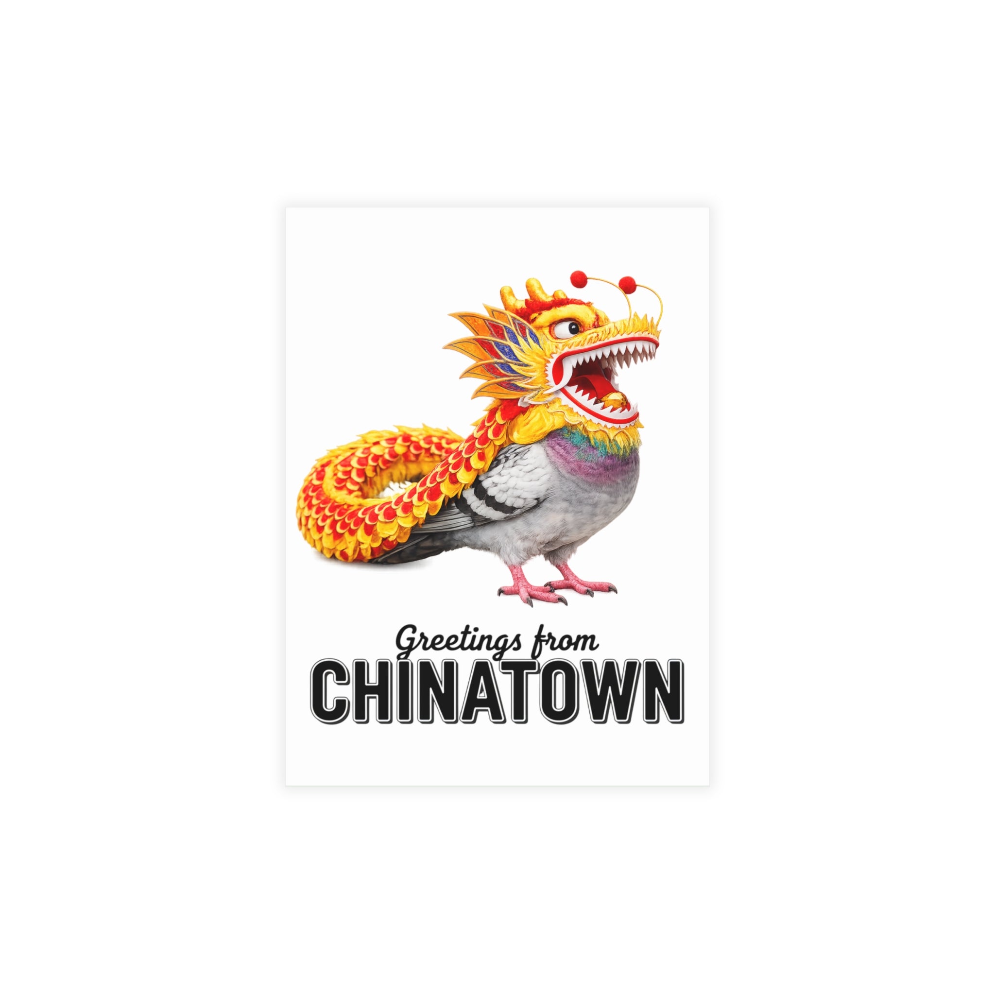 Chinatown NYC Pigeon Postcard Bundle (envelopes included)