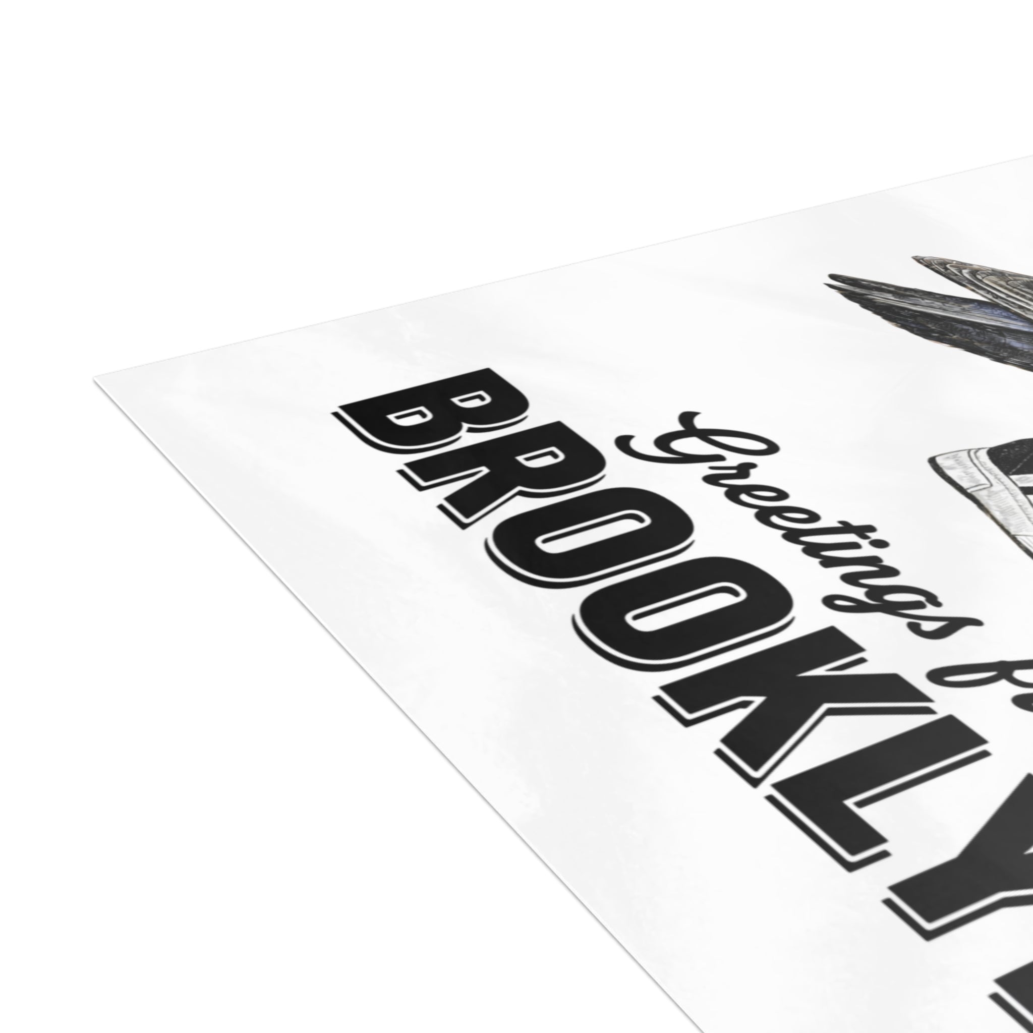 Brooklyn NYC Pigeon Postcard Bundle (envelopes included)