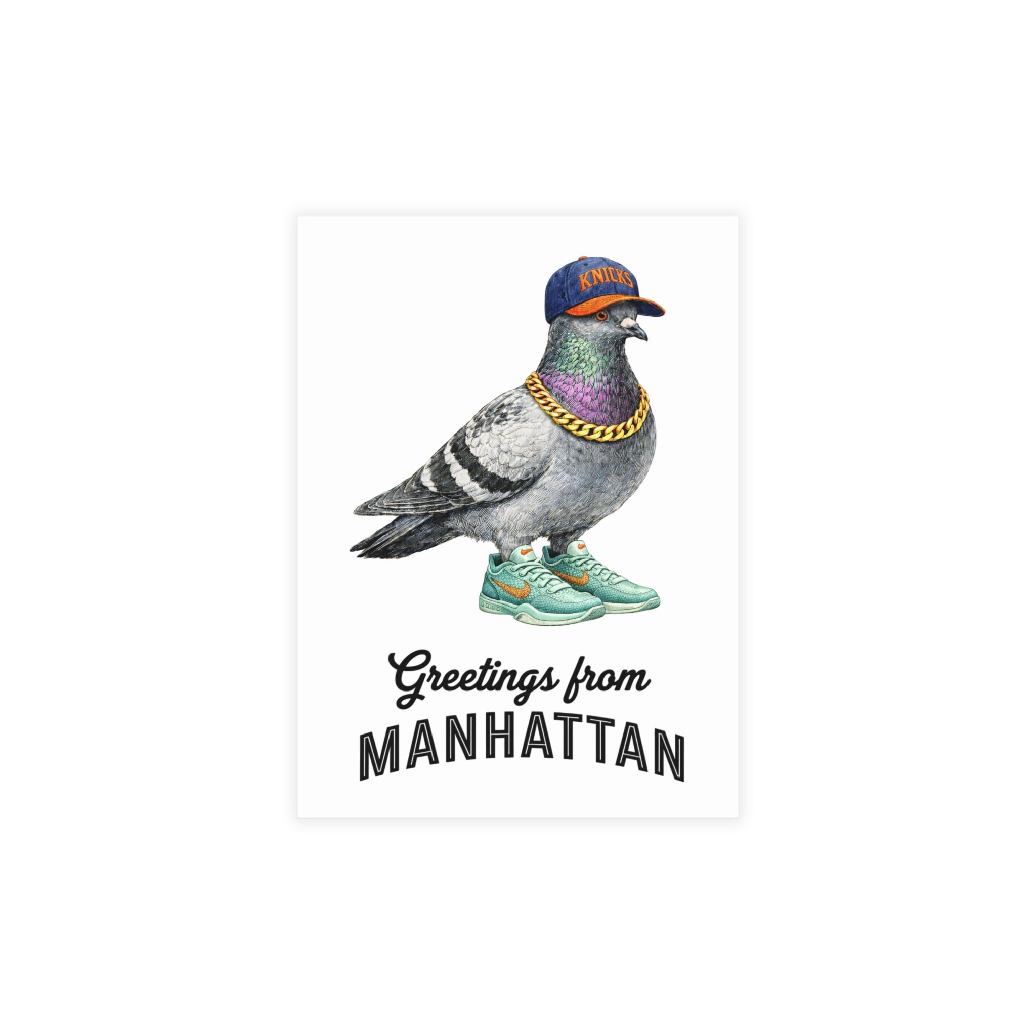 Manhattan NYC Pigeon Postcard Bundle (envelopes included)