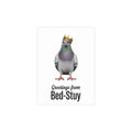 Bed-Stuy NYC Pigeon Postcard Bundle (envelopes included)