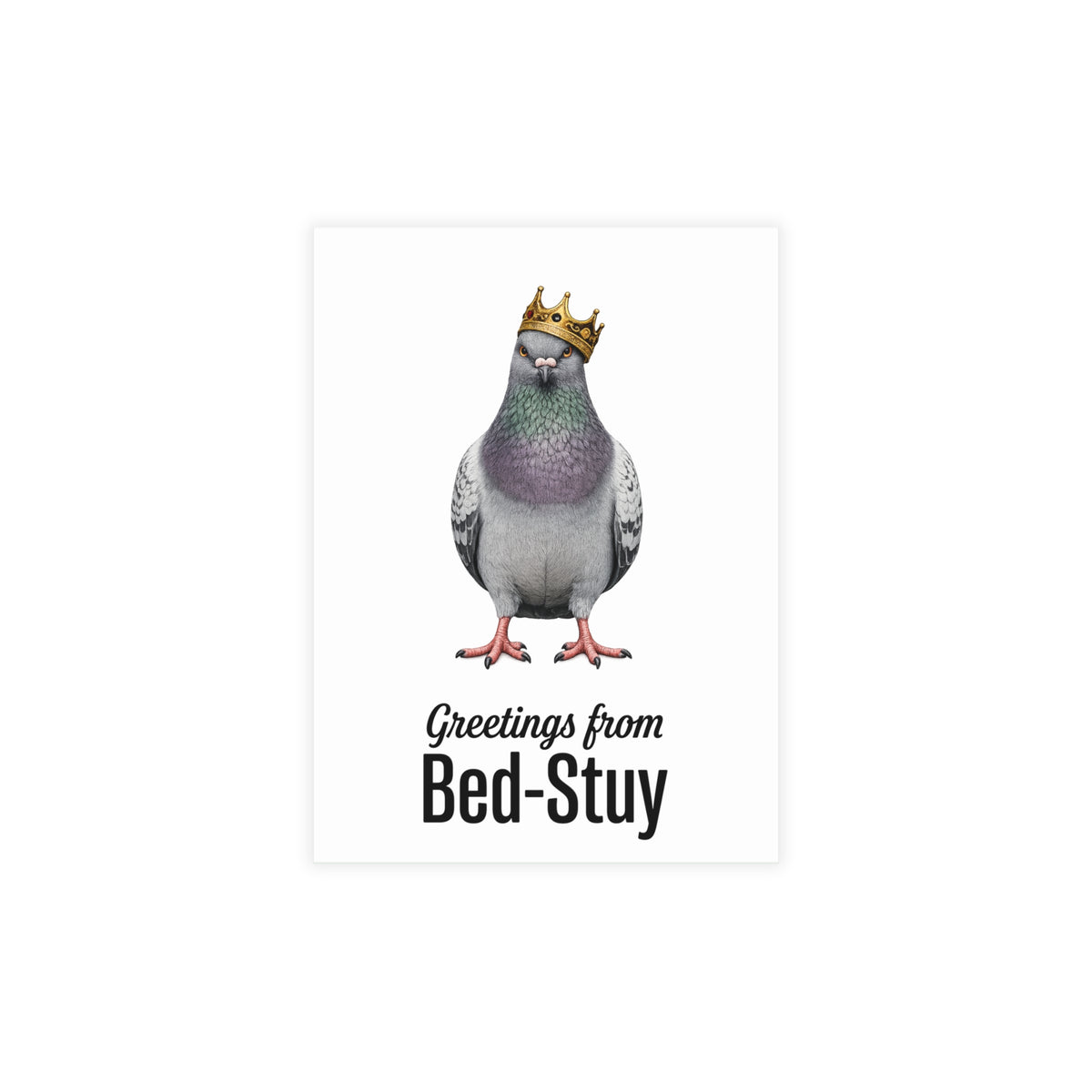 Bed-Stuy NYC Pigeon Postcard Bundle (envelopes included)