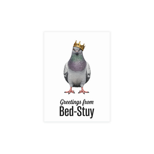 Bed-Stuy NYC Pigeon Postcard Bundle (envelopes included)
