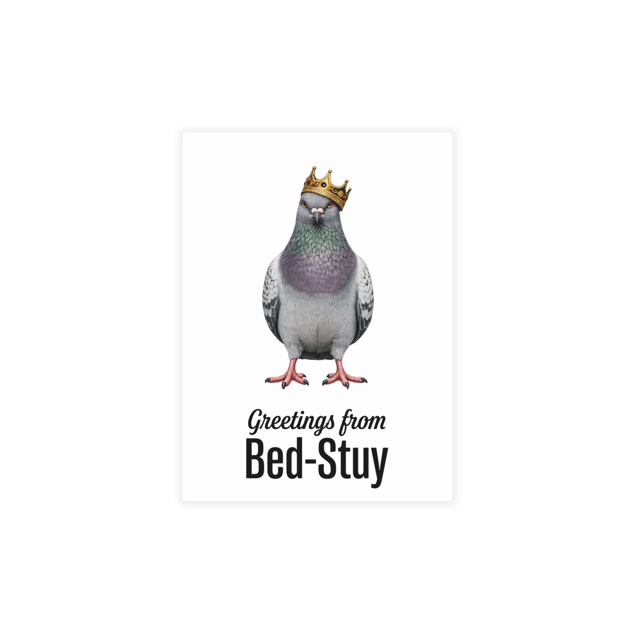 Bed-Stuy NYC Pigeon Postcard Bundle (envelopes included)