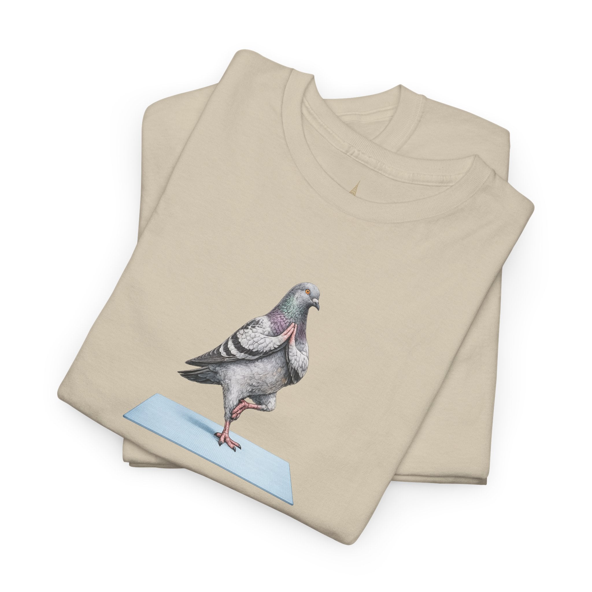 Customizable Central Park NYC Pigeon T-Shirt | Yoga Tee