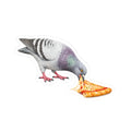 Little Italy NYC Pigeon 3" x 3" Sticker