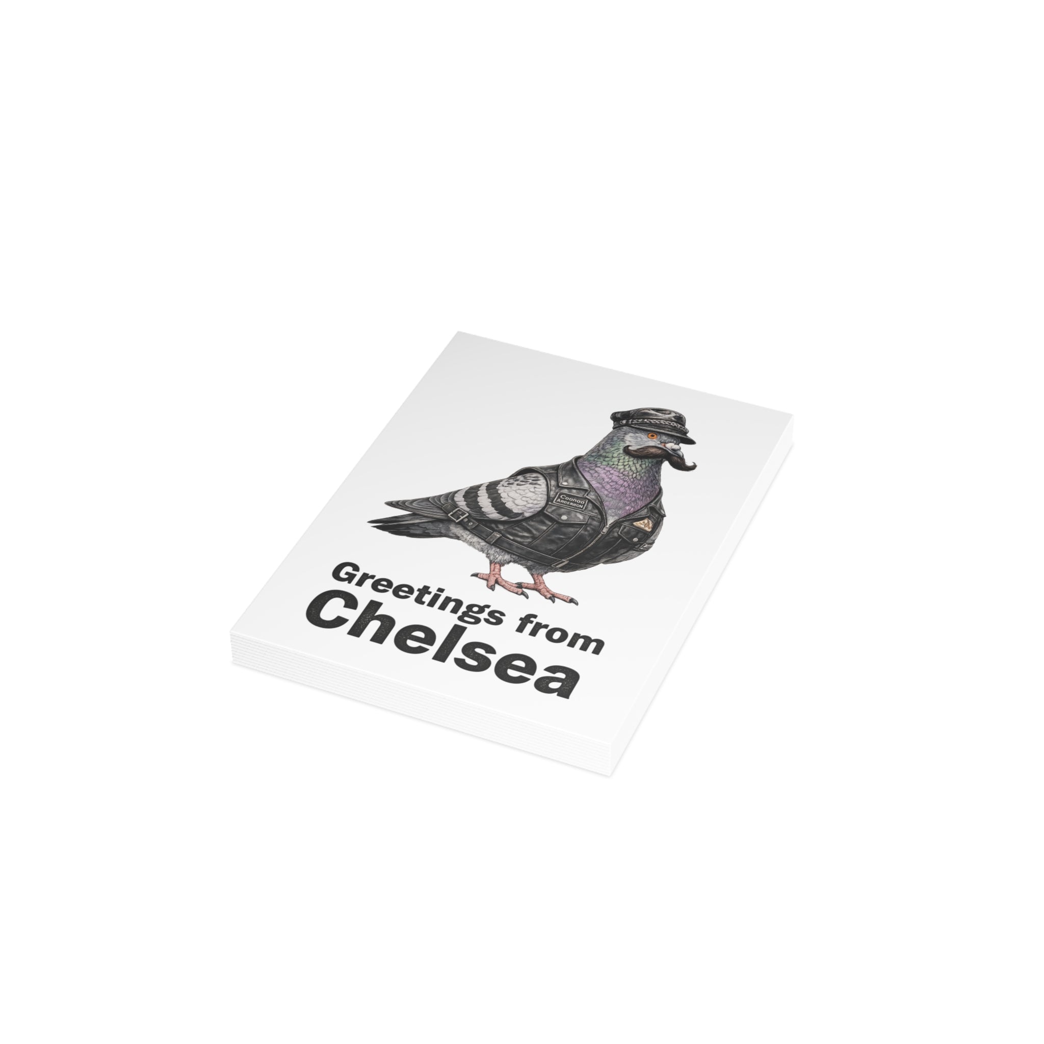 Chelsea NYC Pigeon Postcard Bundle (envelopes included)
