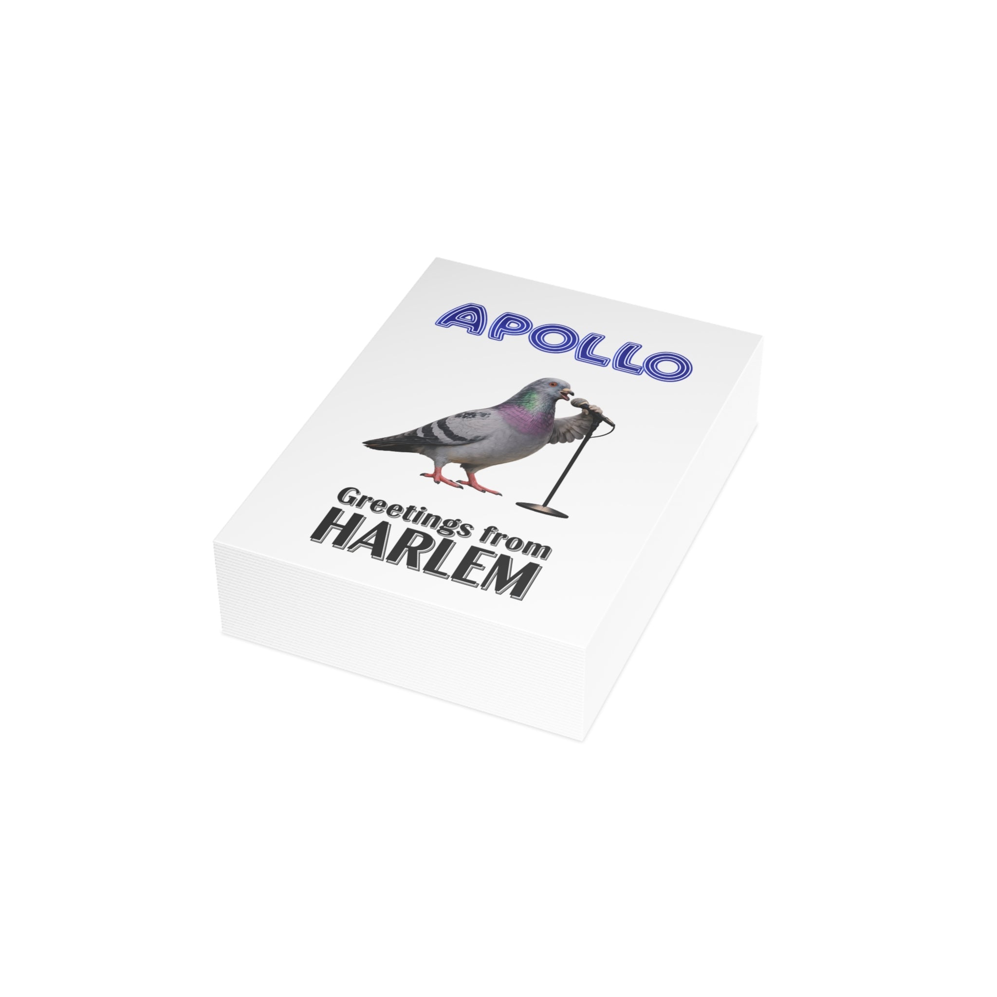 Harlem NYC Pigeon Postcard Bundle (envelopes included)