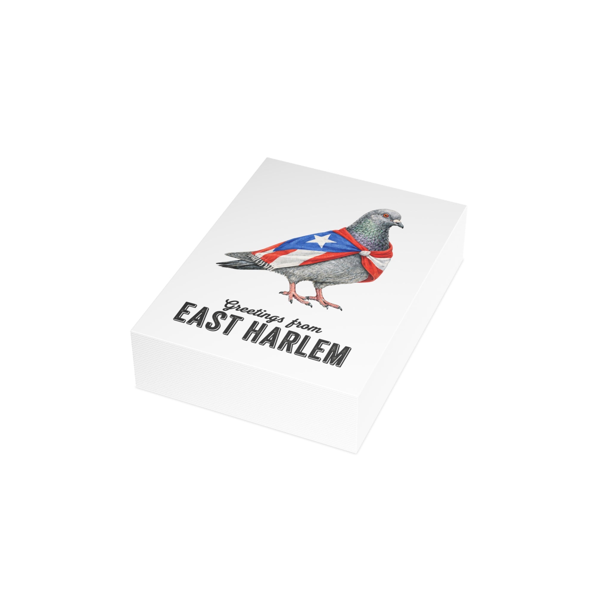 East Harlem NYC Pigeon Postcard Bundle (envelopes included)