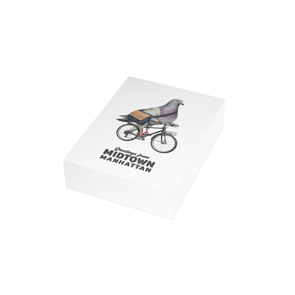 Midtown Manhattan NYC Pigeon Postcard Bundle (envelopes included)