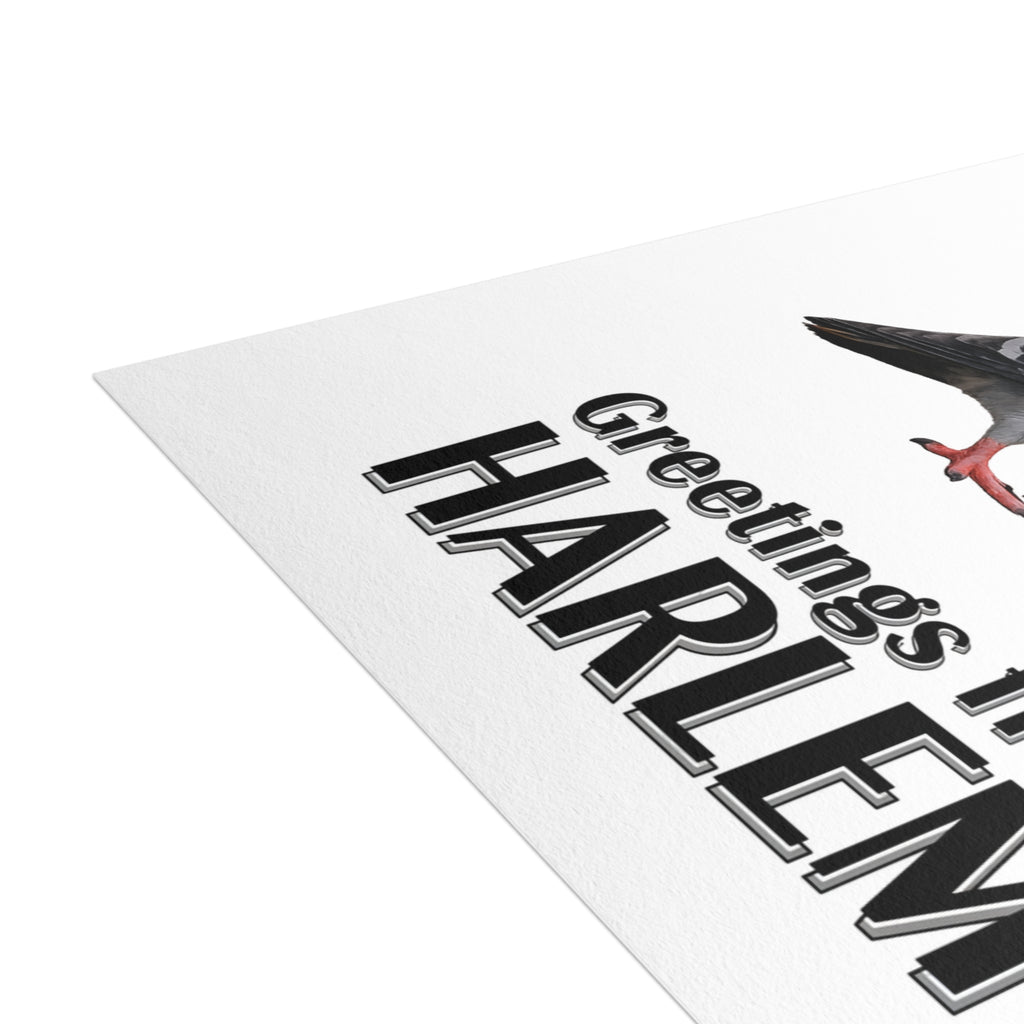 Harlem NYC Pigeon Postcard Bundle (envelopes included)