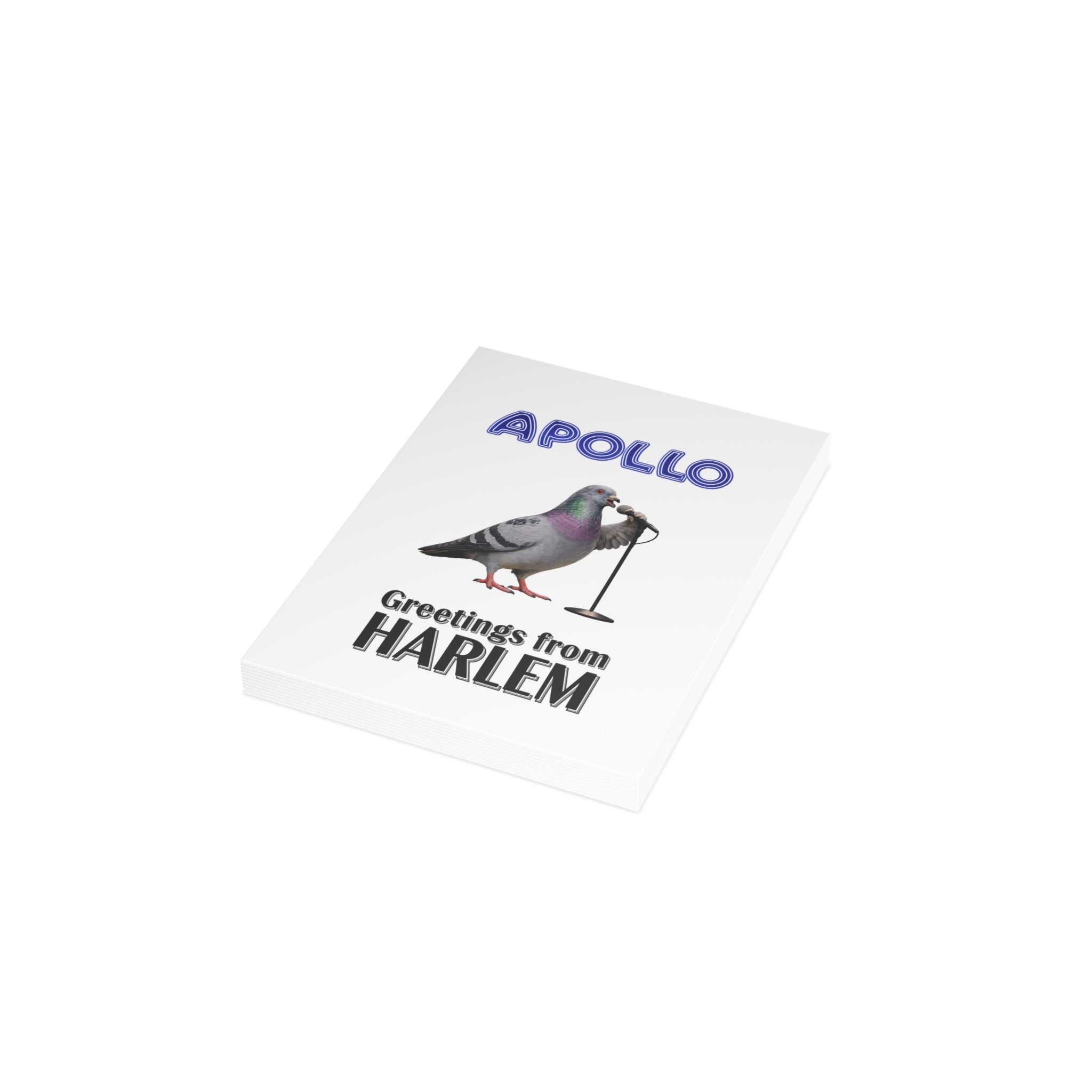 Harlem NYC Pigeon Postcard Bundle (envelopes included)