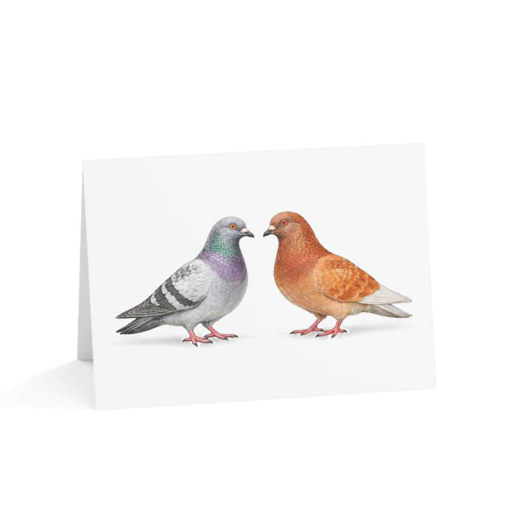 Romeo & Juliet Romantic Pigeon Illustration Greeting Cards | Forbidden Love Card