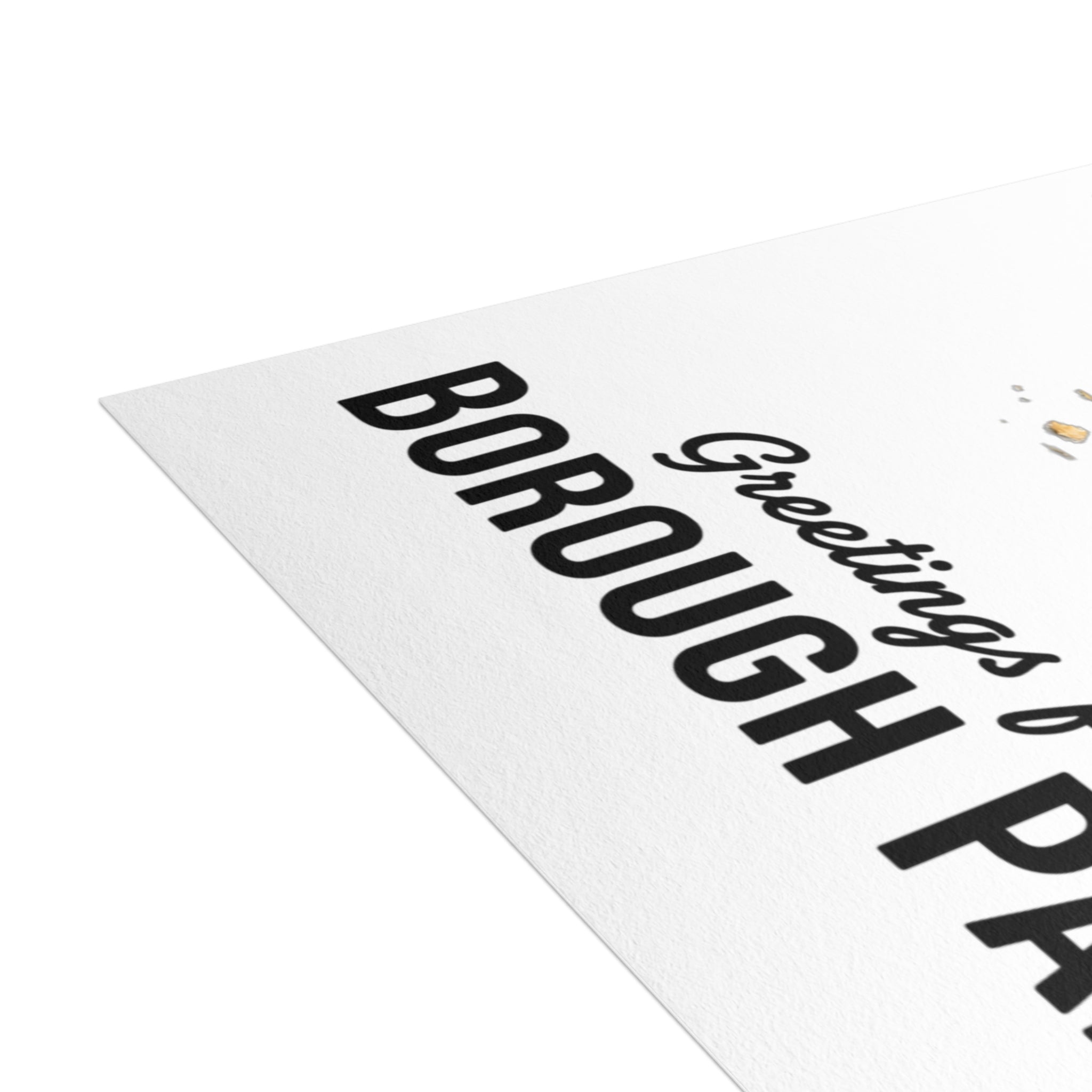 Borough Park NYC Pigeon Postcard Bundle (envelopes included)