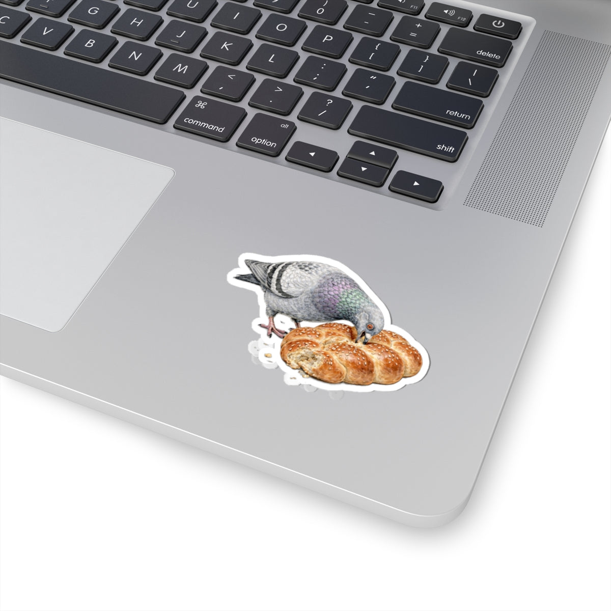 Borough Park NYC Pigeon 3" x 3" Sticker