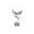Lincoln Square NYC Pigeon Postcard Bundle (envelopes included)