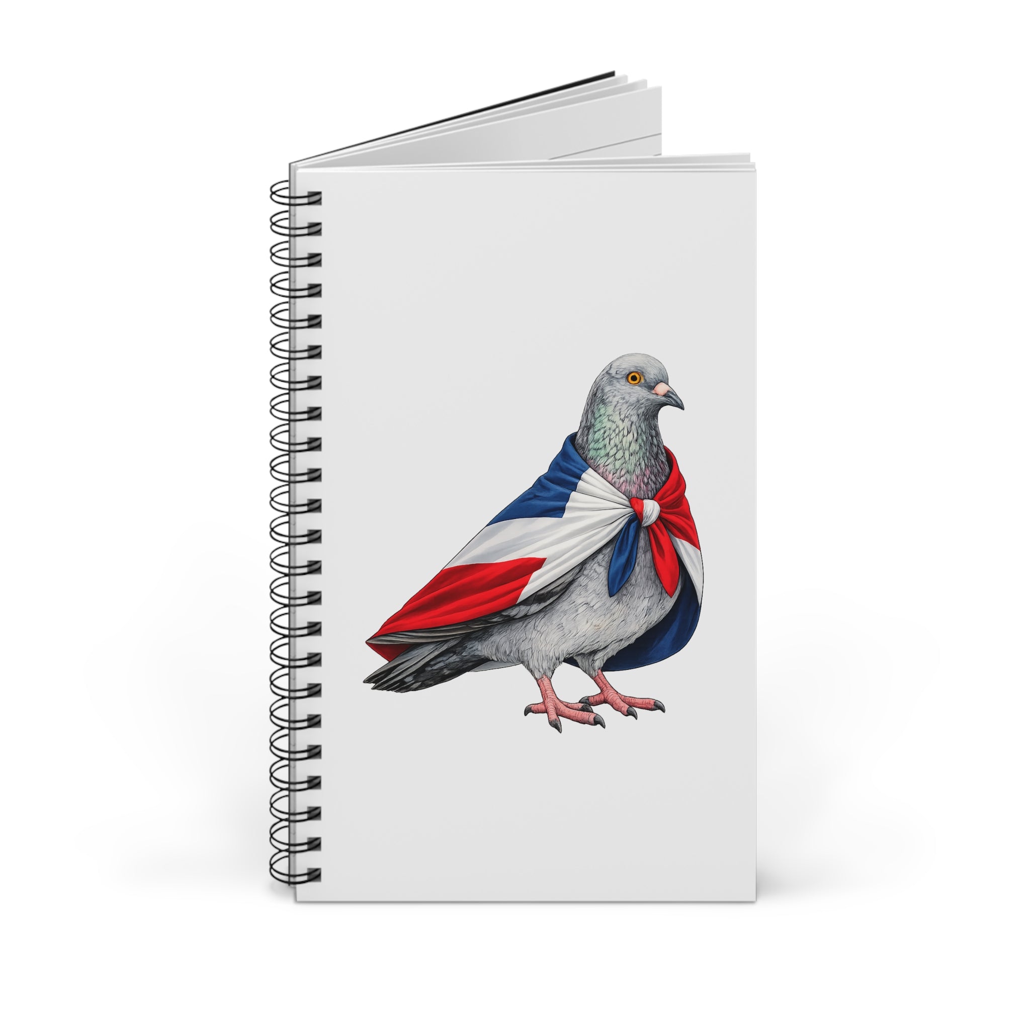 Washington Heights NYC Pigeon Spiral Journal | New York Bird Lovers Notebook