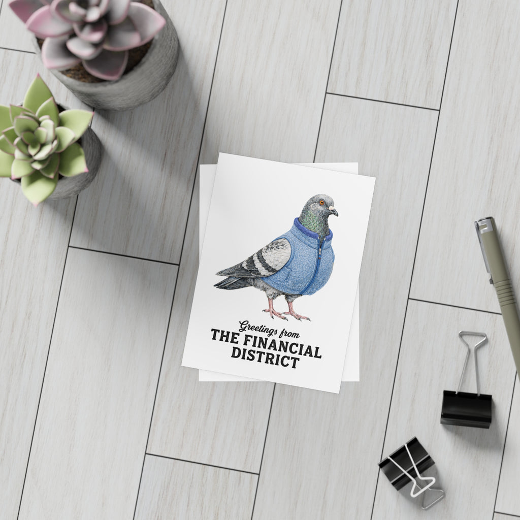 Paquete de postales de palomas del Distrito Financiero de NYC (sobres incluidos)