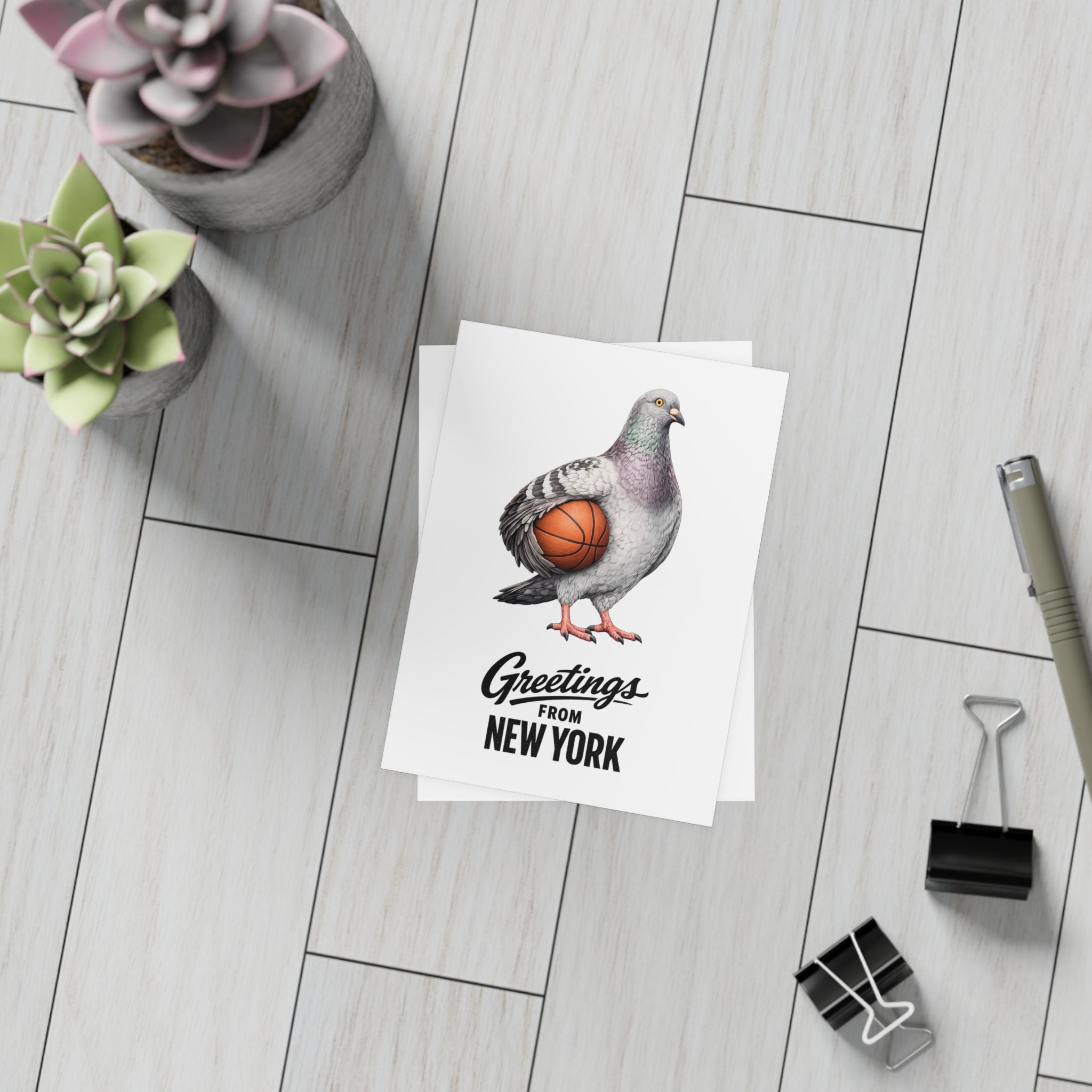 Basketball Player NYC Pigeon New York Postcard Bundle (envelopes included)