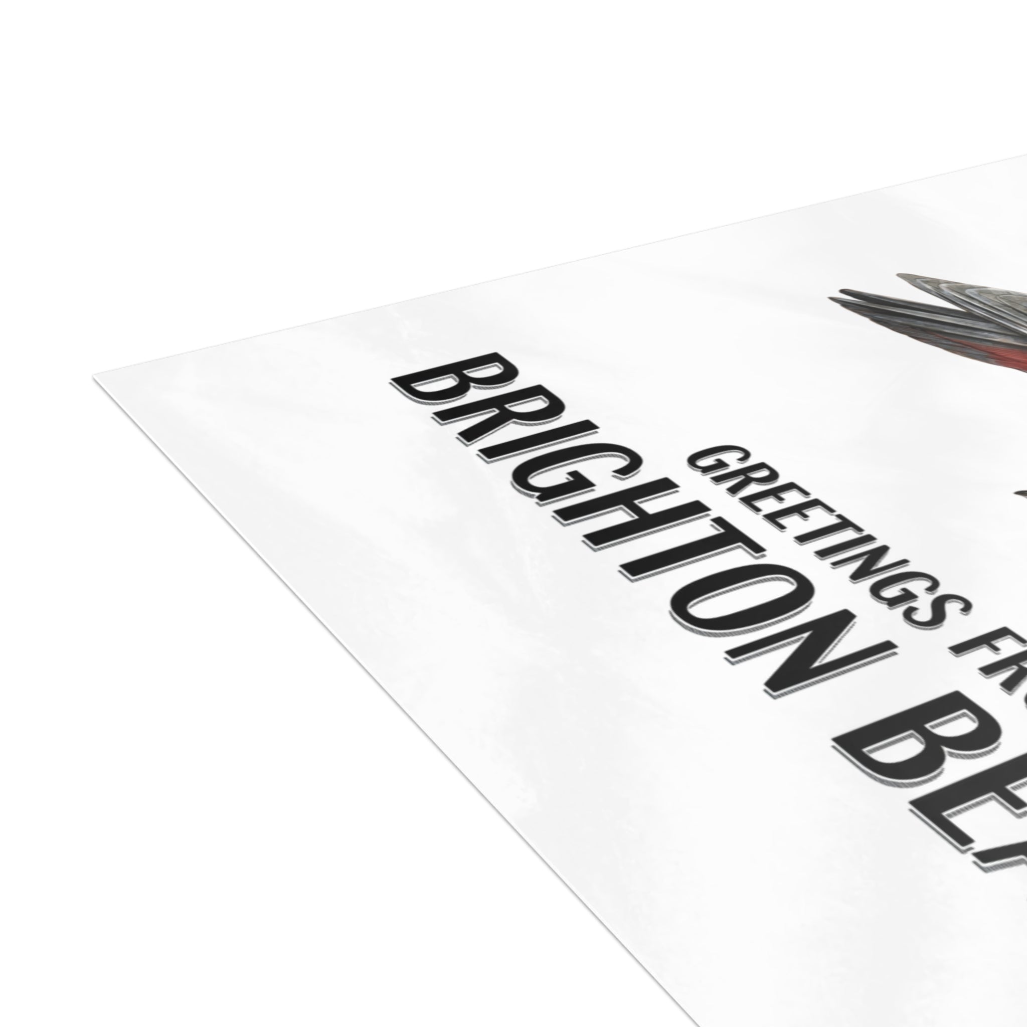 Brighton Beach NYC Pigeon Postcard Bundle (envelopes included)