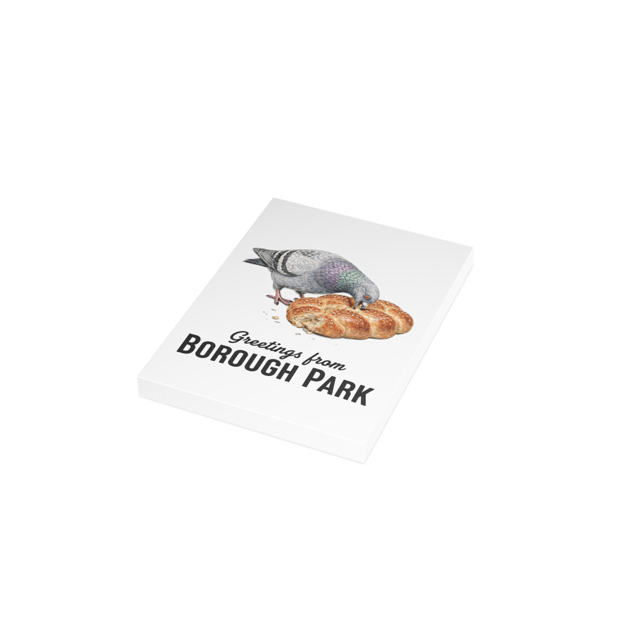 Borough Park NYC Pigeon Postcard Bundle (envelopes included)