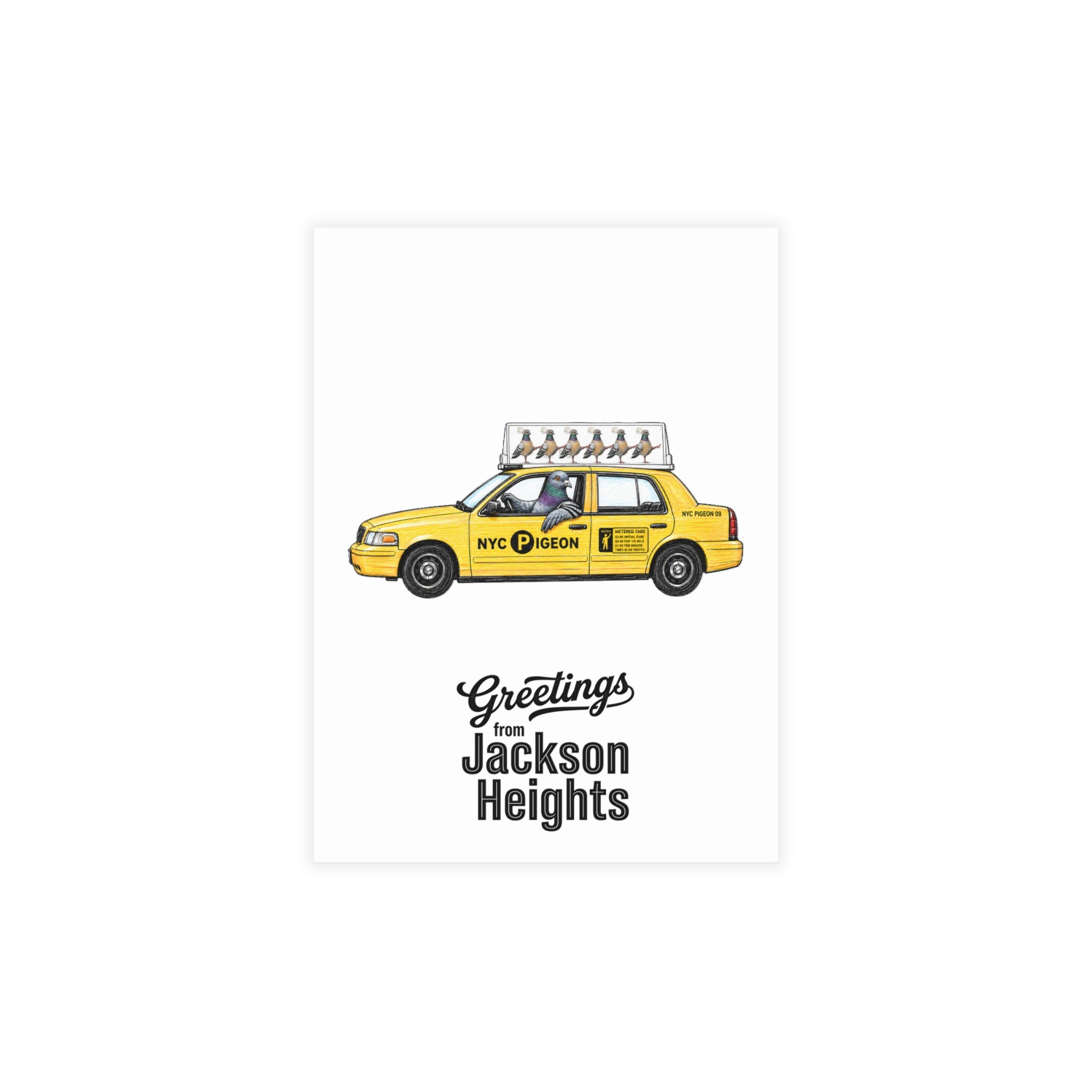 Jackson Heights NYC Pigeon Postcard Bundle (envelopes included)