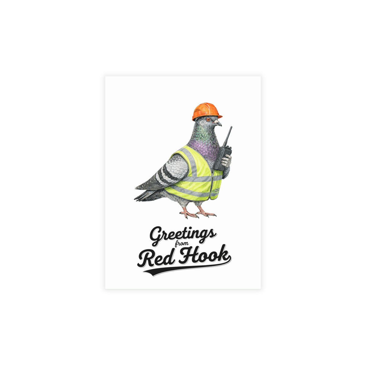 Red Hook NYC Pigeon Postcard Bundle (envelopes included)