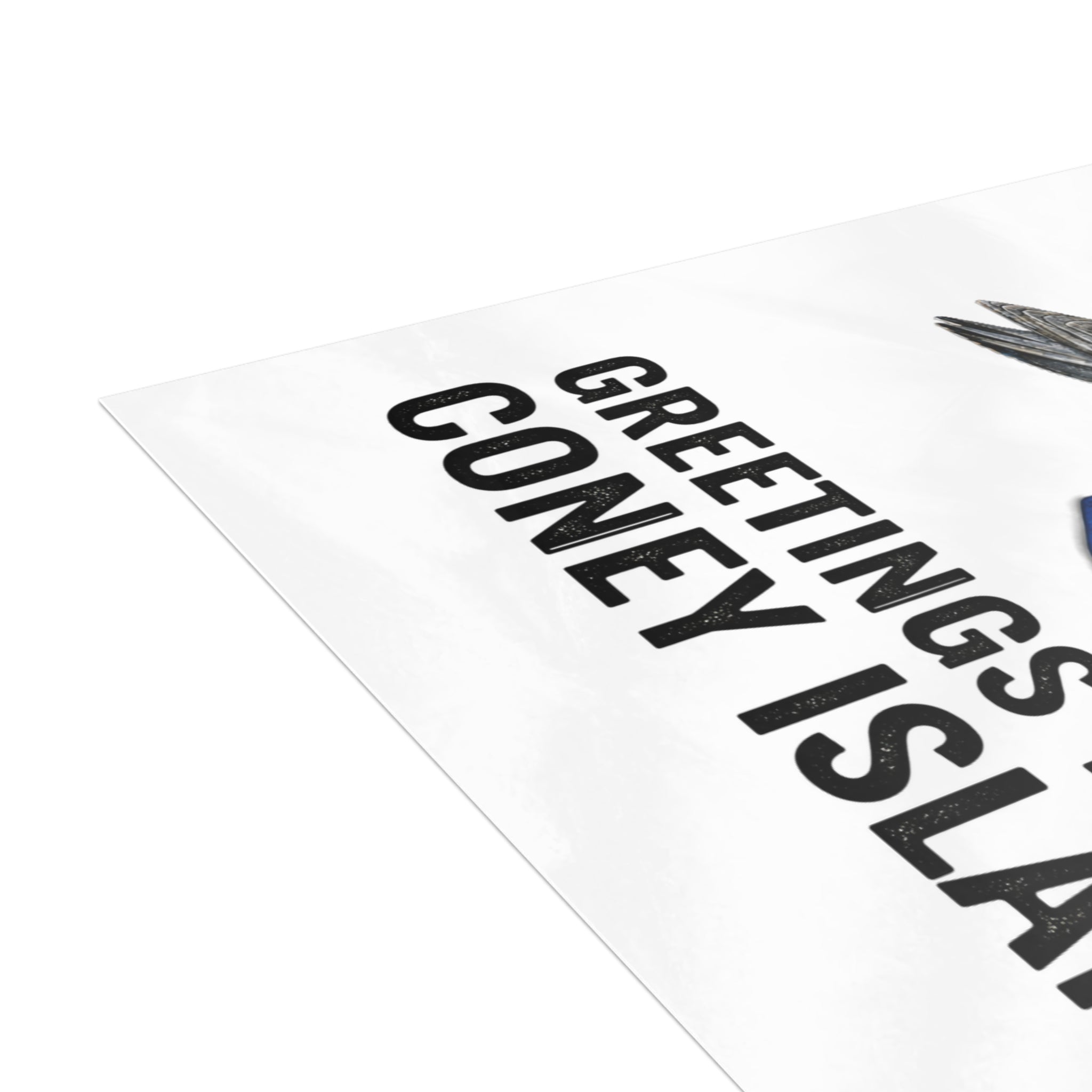 Coney Island NYC Pigeon Postcard Bundle (envelopes included)