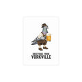 Yorkville NYC Pigeon Postcard Bundle (envelopes included)