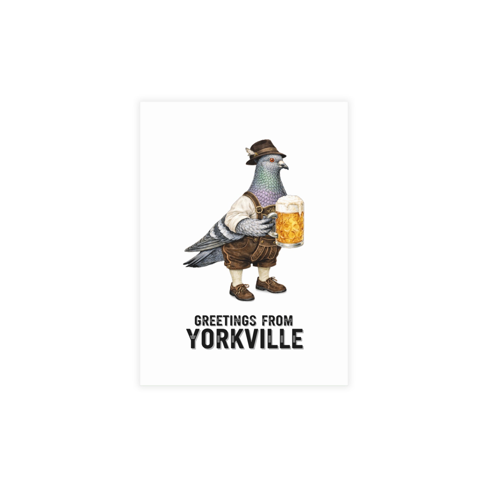 Yorkville NYC Pigeon Postcard Bundle (envelopes included)
