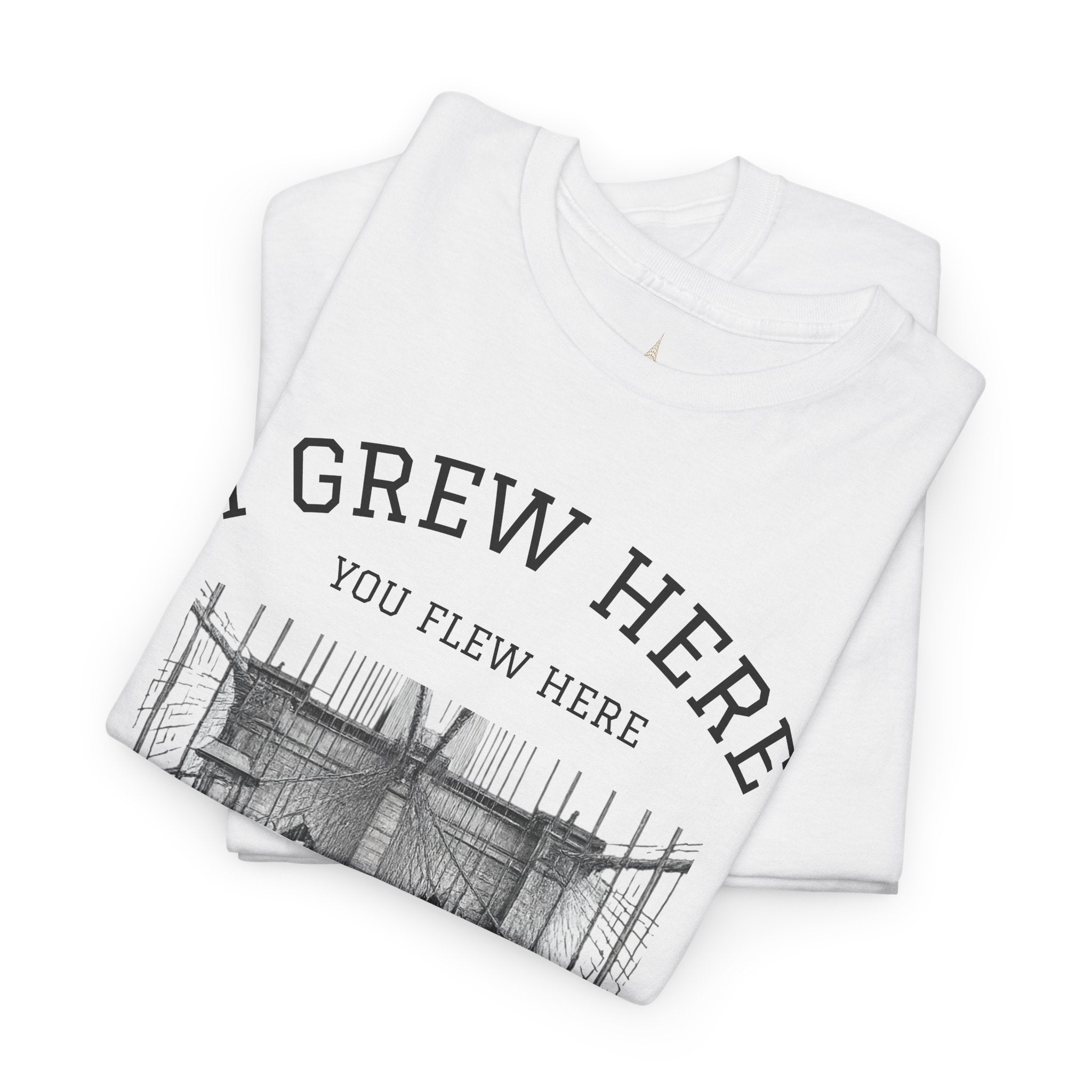 Brooklyn Bridge T-Shirt | I Grew Here You Flew Here New York Tee